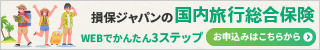 損保ジャパンの国内旅行総合保険